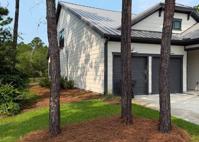 Fresh pine straw laid to an even depth beside a mown lawn
